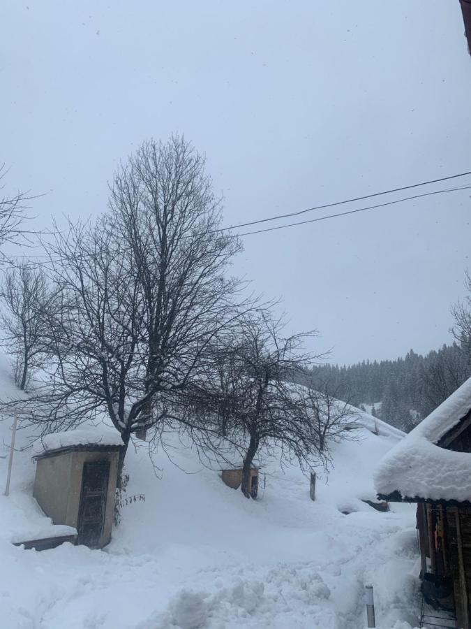 Cottage house بودوبوفيست المظهر الخارجي الصورة