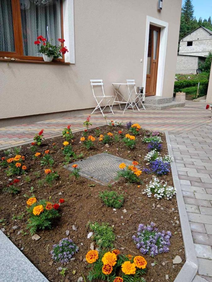 Cottage house بودوبوفيست المظهر الخارجي الصورة
