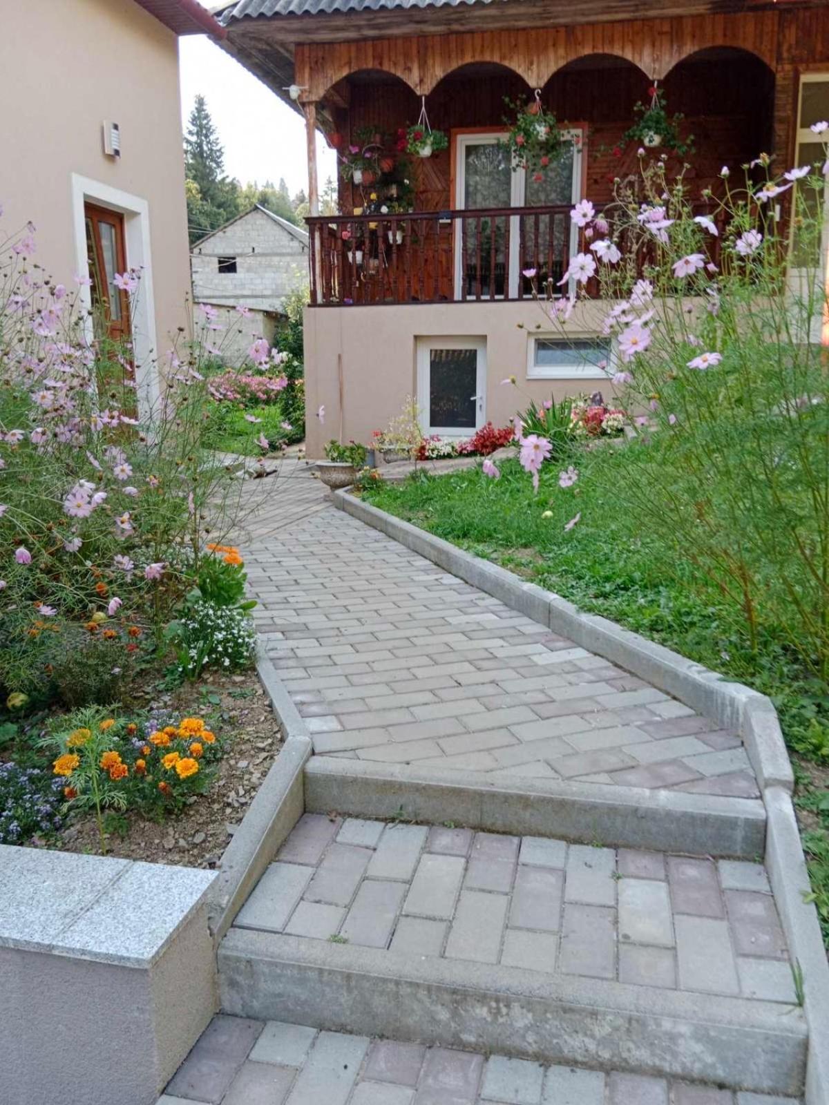 Cottage house بودوبوفيست المظهر الخارجي الصورة