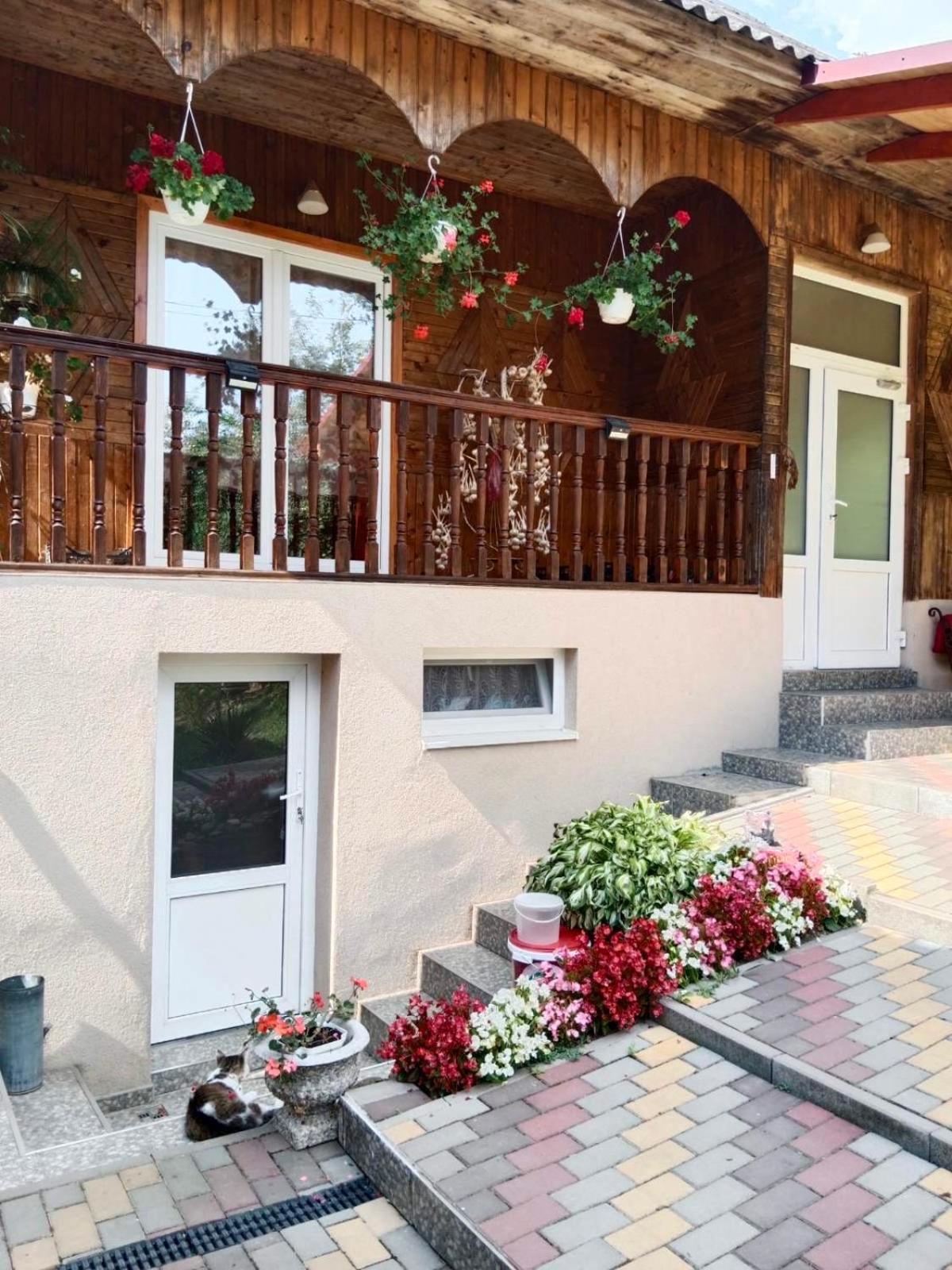 Cottage house بودوبوفيست المظهر الخارجي الصورة