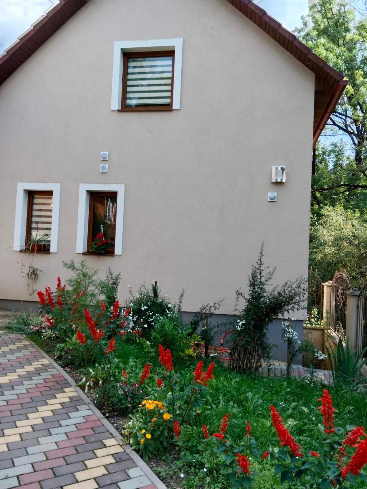 Cottage house بودوبوفيست المظهر الخارجي الصورة